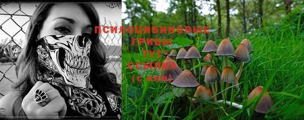прущие крисы Аркадак