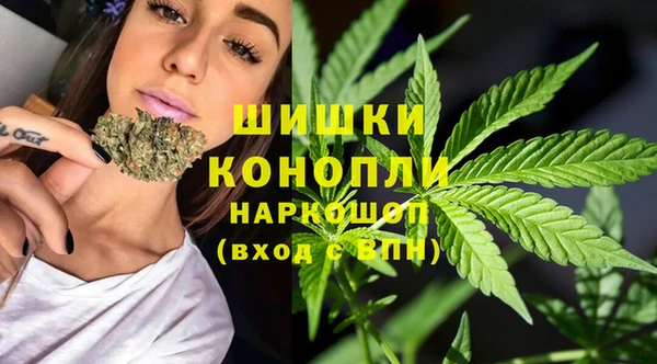 прущие крисы Аркадак