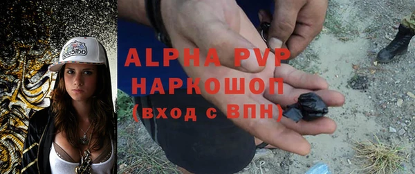 прущие крисы Аркадак